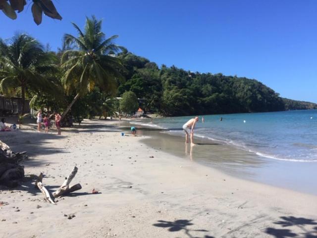 Bay View Martinique Διαμέρισμα Les Anses-d'Arlets Εξωτερικό φωτογραφία