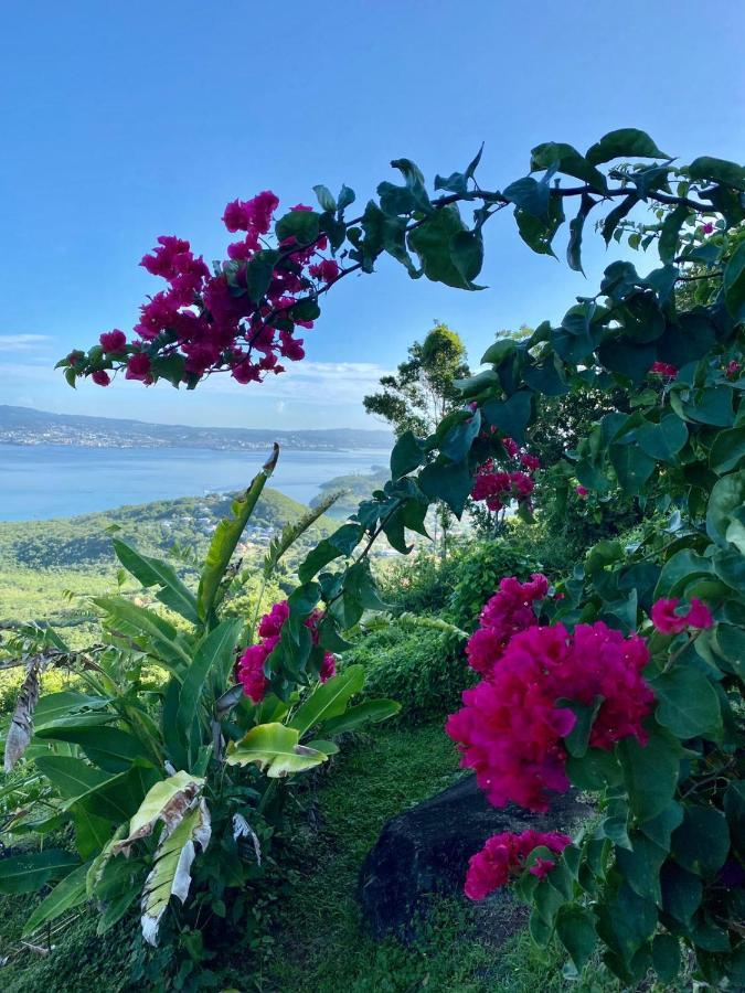 Bay View Martinique Διαμέρισμα Les Anses-d'Arlets Εξωτερικό φωτογραφία